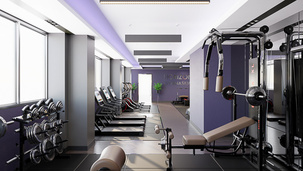 Horizon Gym 10-600px